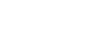 Nintendo Entertainment System